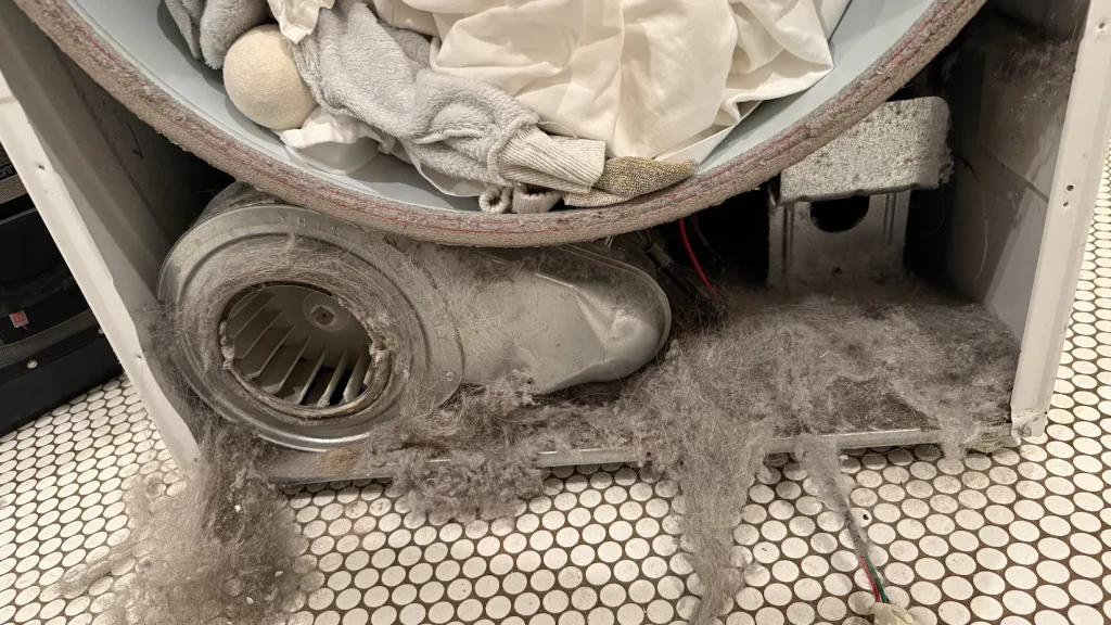 Heavy lint buildup visible around the blower area of an opened dryer.